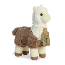 Load image into Gallery viewer, Eco Nation Alpaca