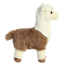 Load image into Gallery viewer, Eco Nation Alpaca