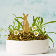 Load image into Gallery viewer, Plant Animal Rabbit