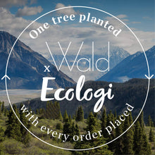 Load image into Gallery viewer, Hanging Plant Shelf - Blue Primrose