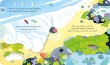 Load image into Gallery viewer, Peep Inside Seashore (Boardbook)