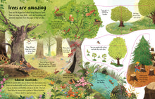 Load image into Gallery viewer, Lift-The-Flap Trees