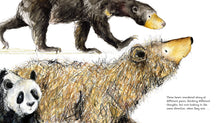 Load image into Gallery viewer, Five Bears: A Tale of Friendship