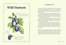 Load image into Gallery viewer, Wild Magic: Healing Plant Based Recipes