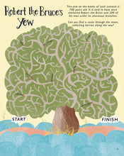 Load image into Gallery viewer, The Big Book of Scottish Mazes