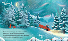 Load image into Gallery viewer, Christmas Lights