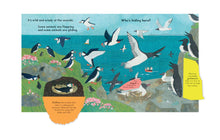 Load image into Gallery viewer, Who's Hiding at the Seaside? (Boardbook)