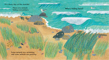Load image into Gallery viewer, Who's Hiding at the Seaside? (Boardbook)