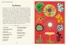 Load image into Gallery viewer, Fungarium (Mini Gift Edition)