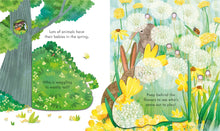 Load image into Gallery viewer, Peep Inside Springtime (Boardbook)