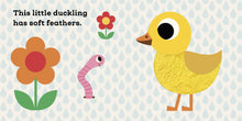 Load image into Gallery viewer, This Little Duckling: Touch and Feel Book (Boardbook)