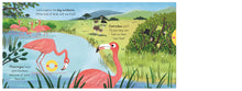 Load image into Gallery viewer, Big Outdoors for Little Explorers: Birds - Board Book with Sliders