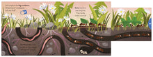 Load image into Gallery viewer, Big Outdoors for Little Exporers: Minibeasts - Board Book with Sliders