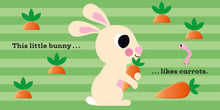 Load image into Gallery viewer, This Little Bunny : A Touch and Feel Boardbook