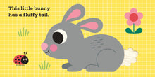 Load image into Gallery viewer, This Little Bunny : A Touch and Feel Boardbook