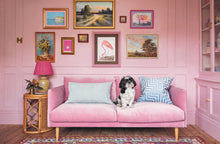 Load image into Gallery viewer, Colour Confidence