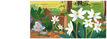 Load image into Gallery viewer, Big Outdoors for Little Explorers: Woods (Boardbook)