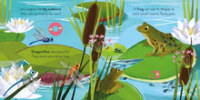 Load image into Gallery viewer, Big Outdoors for Little Explorers: River (Boardbook)