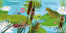 Load image into Gallery viewer, Big Outdoors for Little Explorers: River (Boardbook)