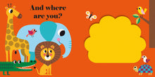Load image into Gallery viewer, Where's Mr Lion? Buggy Book (Boardbook)