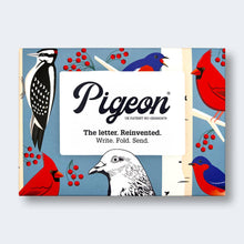 Load image into Gallery viewer, Carnival of Colour Pigeon letter pack