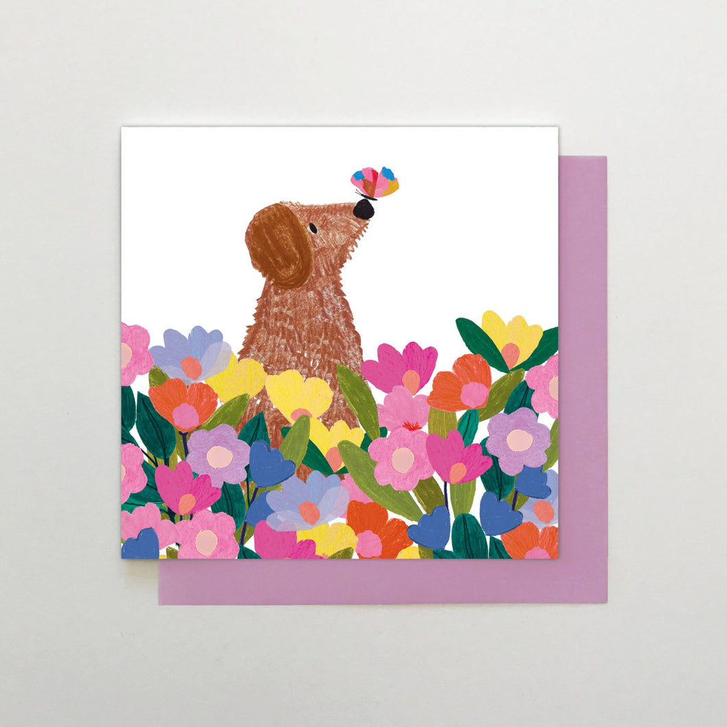 Dog with Butterfly card