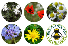 Load image into Gallery viewer, Seedball Annuals Mix Grab Bag