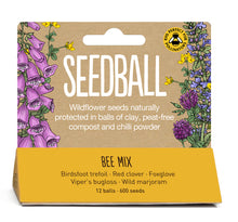 Load image into Gallery viewer, Seedball Bee Mix Hanging Pack