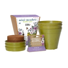 Load image into Gallery viewer, Seedball Mini-Meadow Bamboo Pots - Butterfly Mix