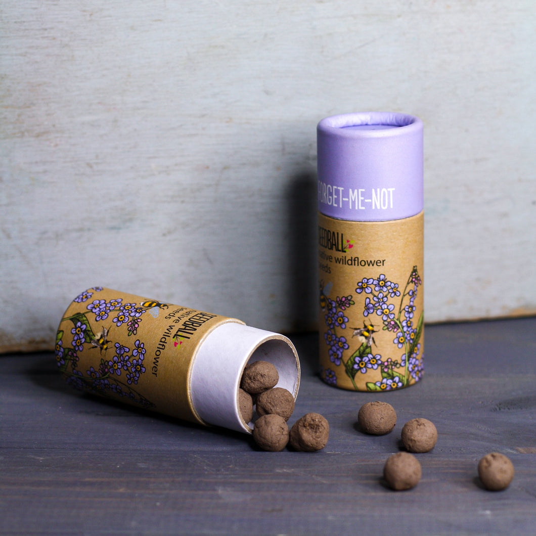 Seedball Forget-me-not Tube
