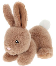 Load image into Gallery viewer, Keel Toys Keeleco Bunny Pets 14cm