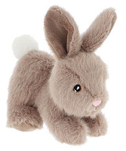 Load image into Gallery viewer, Keel Toys Keeleco Bunny Pets 14cm