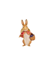 Load image into Gallery viewer, Fable England x Peter Rabbit Cottontail Brooch