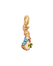 Load image into Gallery viewer, Fable England x Peter Rabbit Necklace