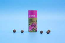 Load image into Gallery viewer, Seedball Red Campion Tube