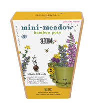 Load image into Gallery viewer, Seedball Mini-Meadow Bamboo Pots - Bee Mix