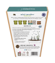 Load image into Gallery viewer, Seedball Mini-Meadow Bamboo Pots - Garden Meadow