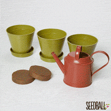 Load image into Gallery viewer, Seedball Mini-Meadow Bamboo Pots - Bee Mix