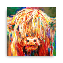 Load image into Gallery viewer, Highland Calf Mini Canvas
