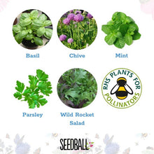 Load image into Gallery viewer, Herb Seedball Tubes - 5 varieties to choose from
