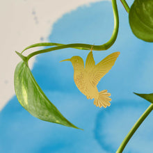 Load image into Gallery viewer, Plant Animal Hummingbird