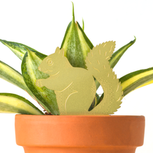 Load image into Gallery viewer, Plant Animal Squirrel, plant pot decoration in brass