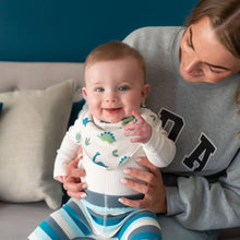 Load image into Gallery viewer, Dino print bib