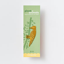 Load image into Gallery viewer, Plant Animal Woodpecker, bird houseplant decoration