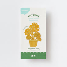 Load image into Gallery viewer, Tiny Plant Monstera, brass metal home decor, letterbox gift