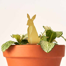 Load image into Gallery viewer, Plant Animal Rabbit
