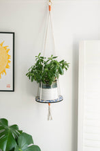 Load image into Gallery viewer, Hanging Plant Shelf - Blue Primrose