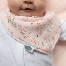 Load image into Gallery viewer, Bunnies on Pink bib