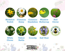 Load image into Gallery viewer, Seedball Lawn Flowers Mix Grab Bag