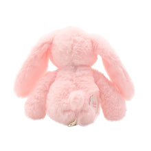 Load image into Gallery viewer, Katie The Plush Long Leg Light Pink Bunny 35 cm